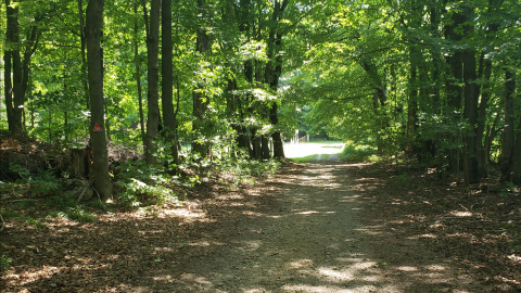 Photo from Howard Cemetery - July 26 2020
