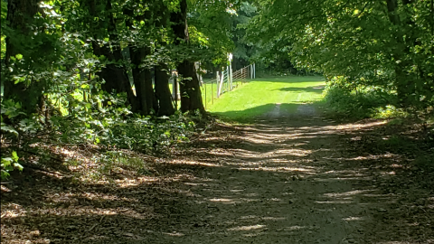Photo from Howard Cemetery - July 26 2020