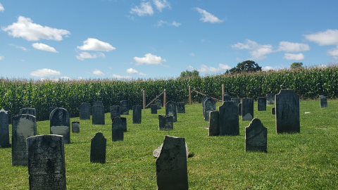 The Designated Cemetery/Denny Cemetery photo 3