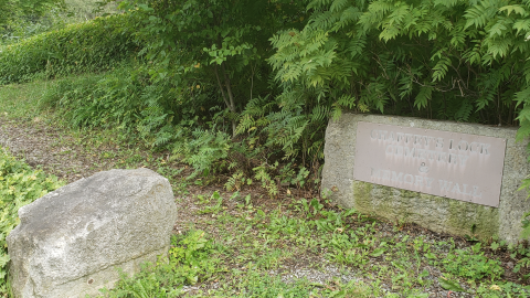 Chaffey's Mill/Lock - Aug 30 2020 - 25.png