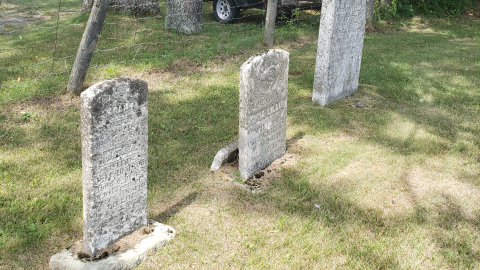 Photo from Bastard/Lillie/Chick Cemetery - July 26 2020