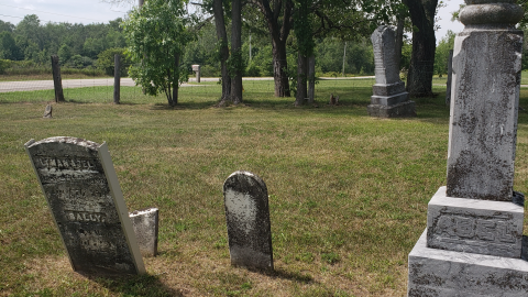Photo from Bastard/Lillie/Chick Cemetery - July 26 2020