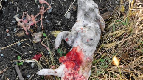 October 2020 Visit - 0EB1BCCA-2F23-4185-BF62-8DA2680794ED.jpeg