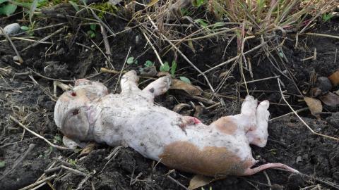 October 2020 Visit - 51471AA8-8BB8-4636-827E-6CF6799113E0.jpeg