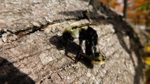 October 2020 Visit - 0BA59231-3E7F-421B-9219-50498DF1EF65.jpeg