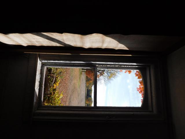 October 2020 Visit - 8A93197D-5A09-4A38-943D-016397F49C81.jpeg