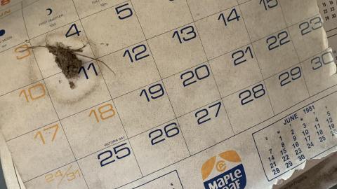 "McCormick House" - IMG_4617.JPG