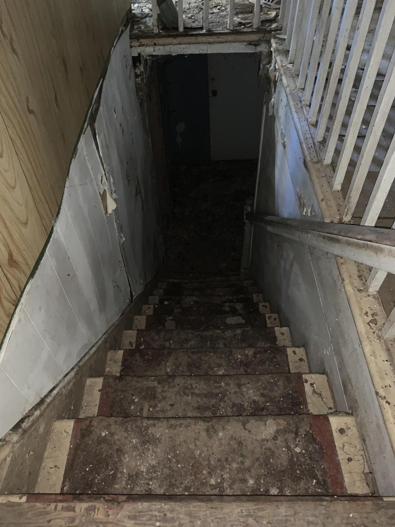 House & Shop - IMG_7634.JPG