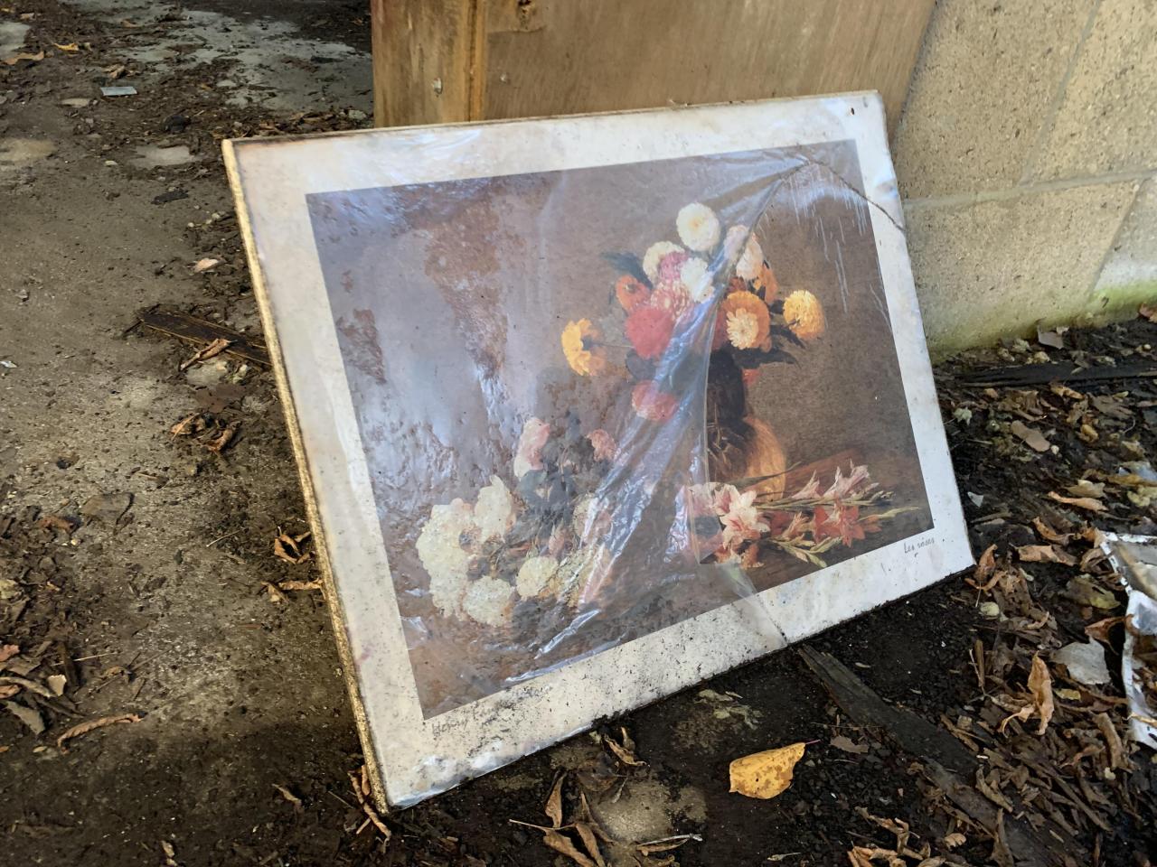 House & Shop - IMG_7619.JPG