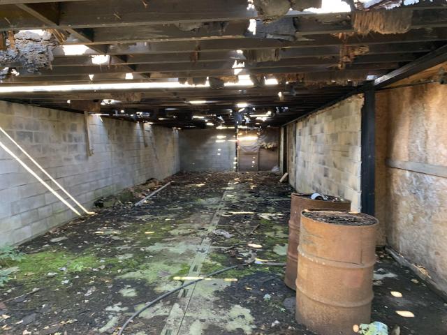 House & Shop - IMG_7615.JPG