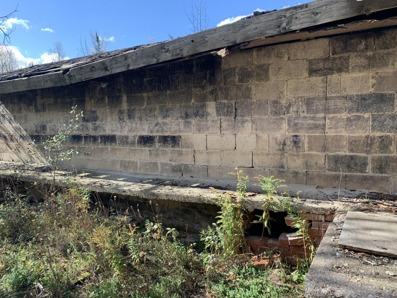 House & Shop - IMG_7602.JPG