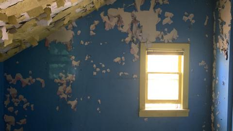 House & Shop - IMG_7567.JPG