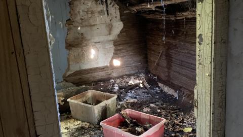 House & Shop - IMG_7569.JPG