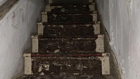 House & Shop - IMG_7597.JPG