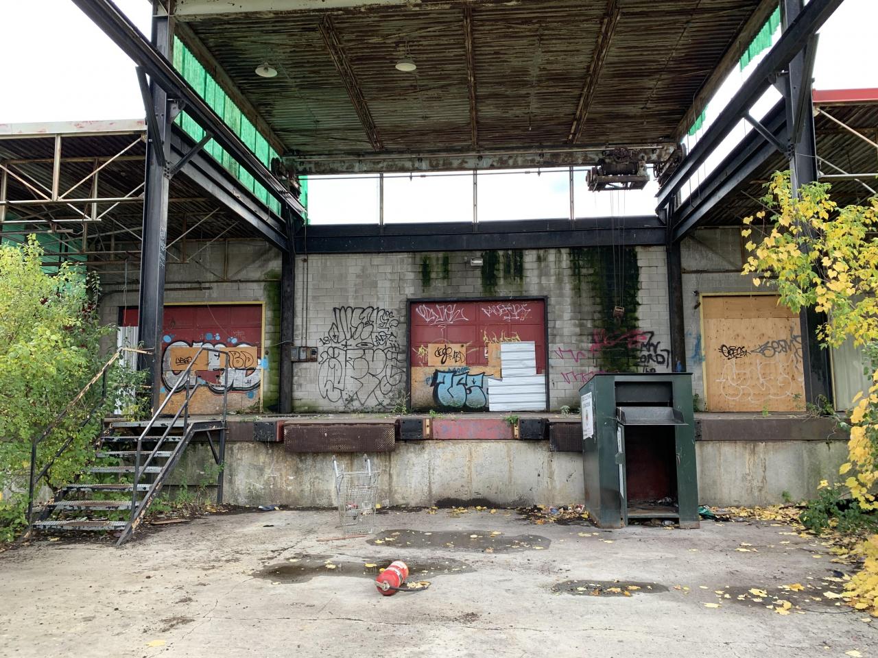 Squatters Haven - IMG_8259.JPG