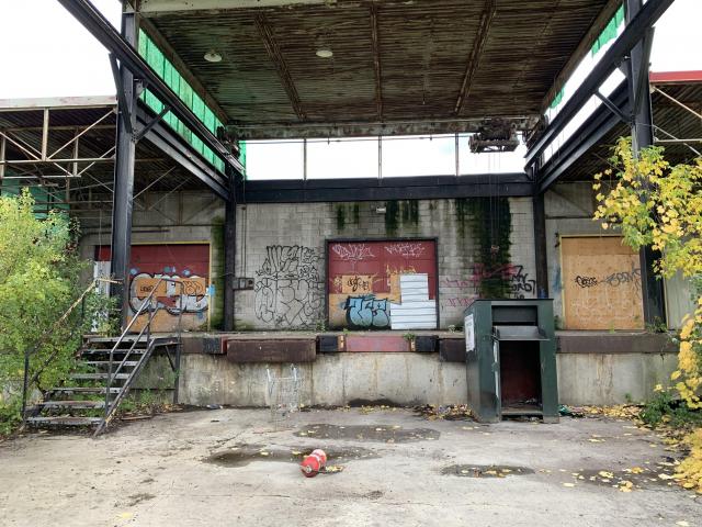 Squatters Haven - IMG_8259.JPG