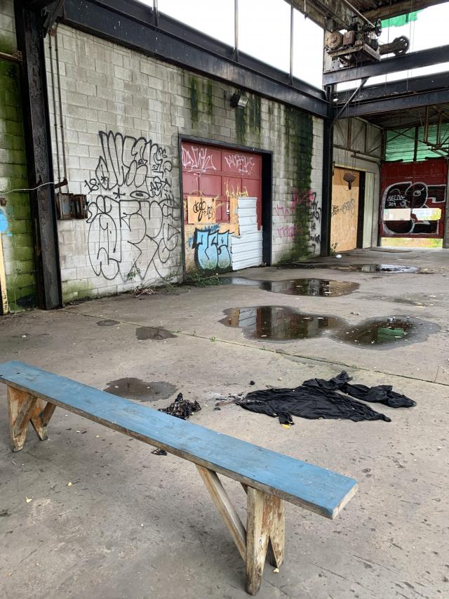 Squatters Haven - IMG_8261.JPG