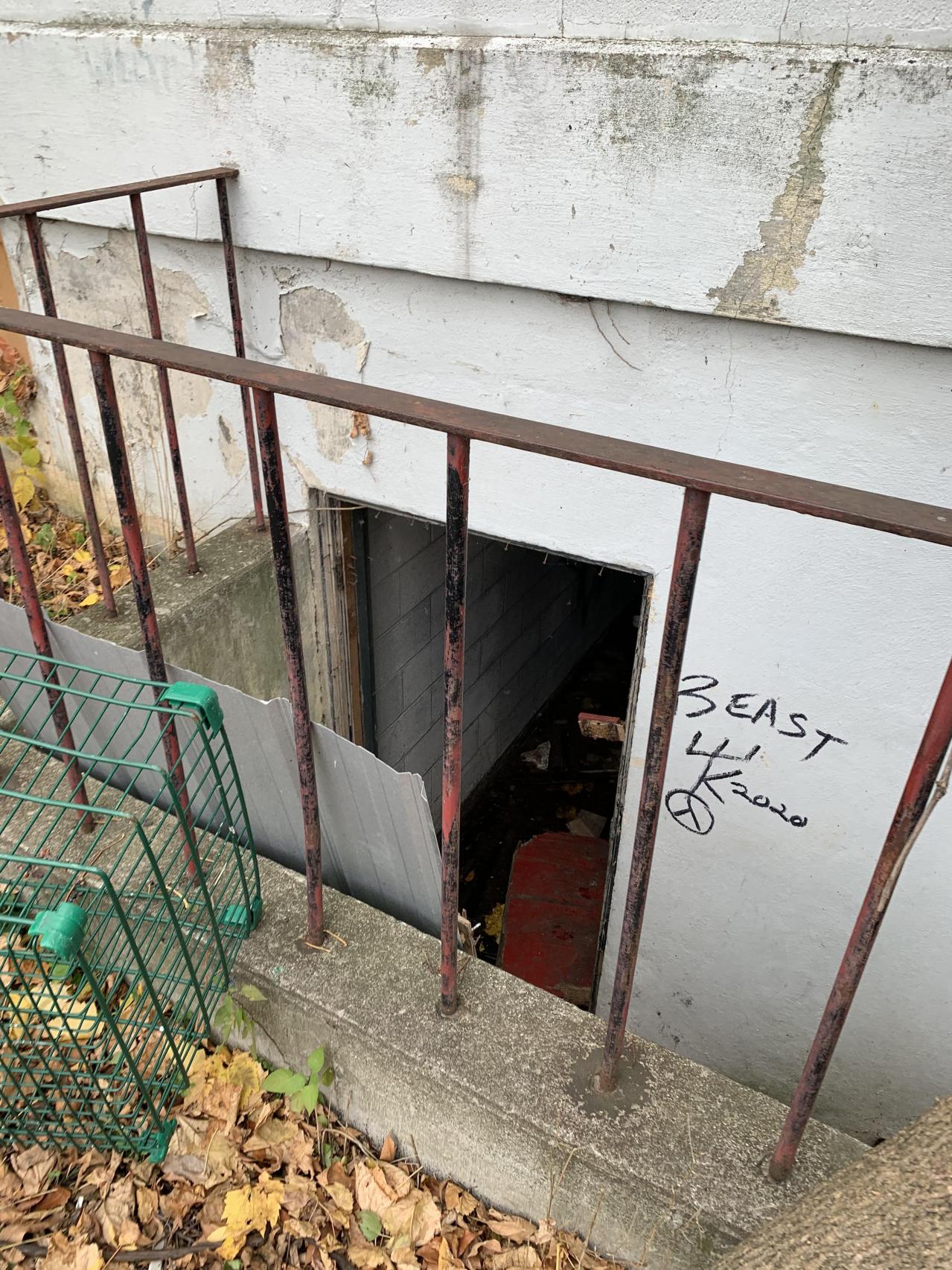 Squatters Haven - IMG_8264.JPG