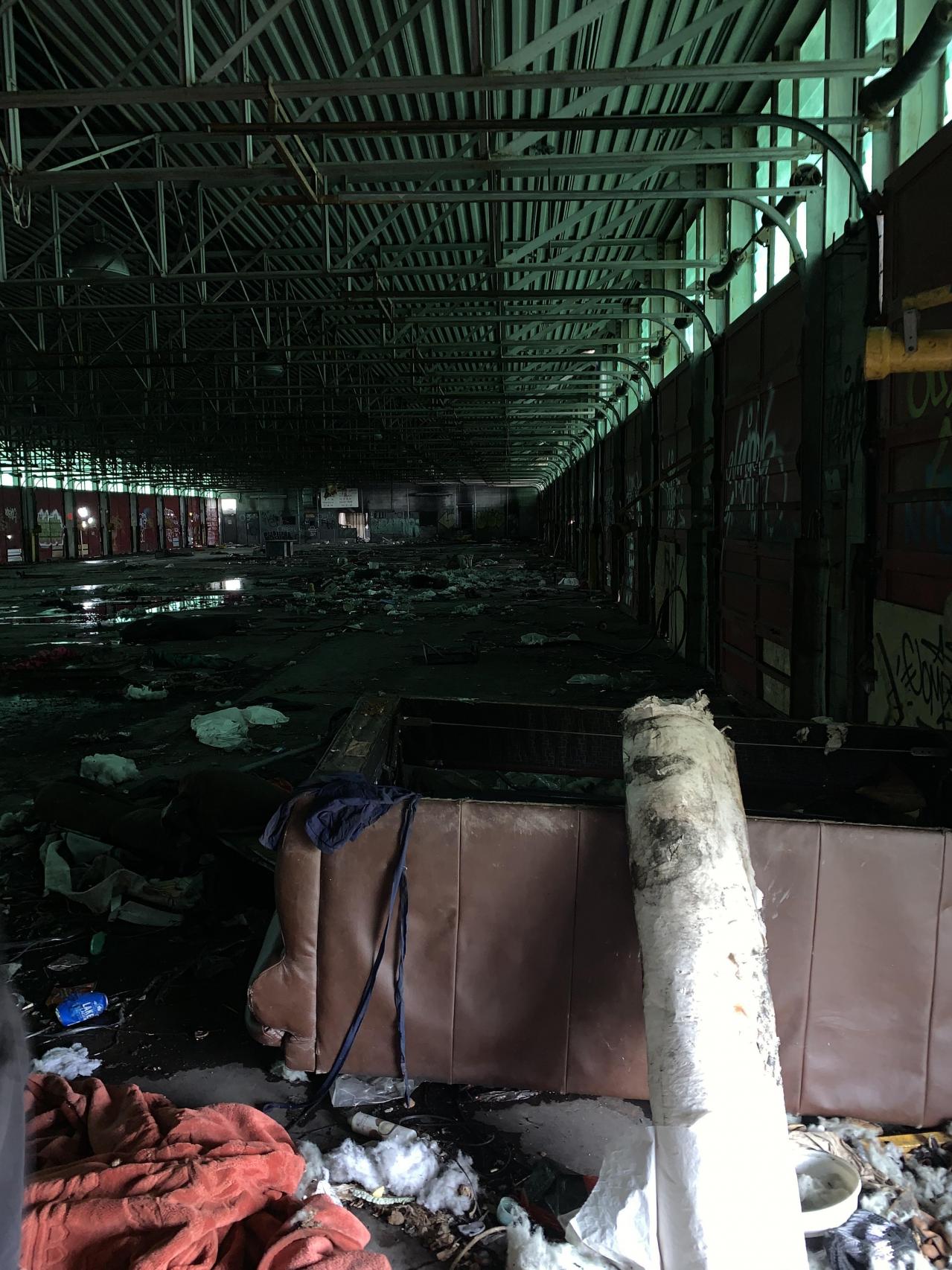 Squatters Haven - IMG_8215.JPG