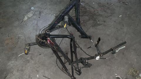 Squatters Haven - IMG_8219.JPG