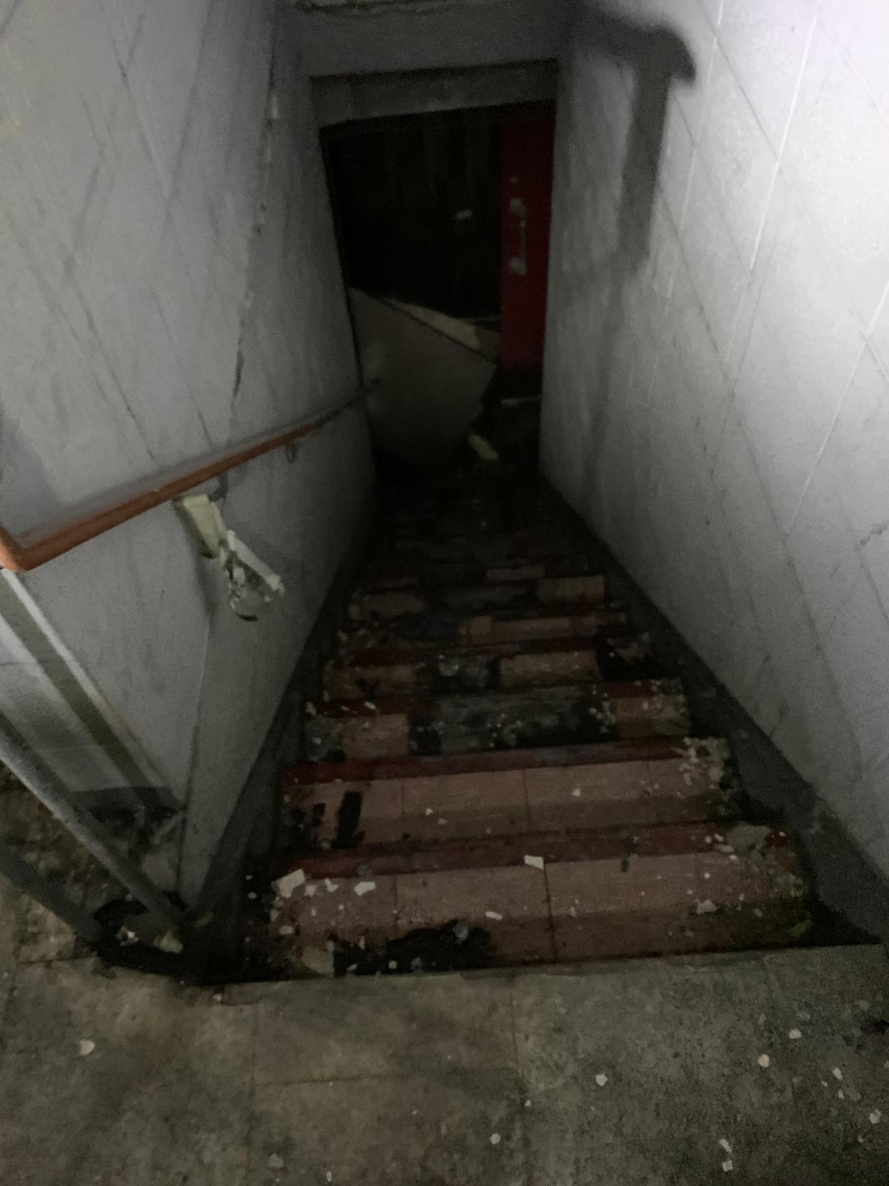 Squatters Haven - IMG_8221.JPG