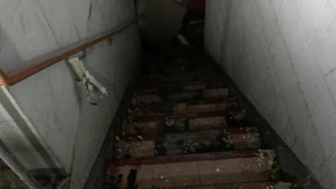 Squatters Haven - IMG_8221.JPG