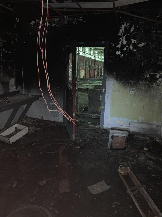 Squatters Haven - IMG_8232.JPG