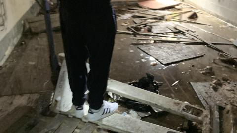 Squatters Haven - IMG_8242.JPG