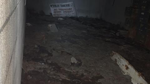 Squatters Haven - IMG_8244.JPG