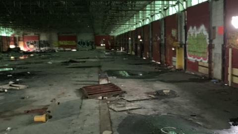 Squatters Haven - IMG_8253.JPG