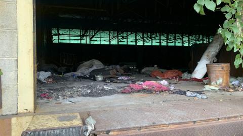 Squatters Haven - IMG_8212.JPG