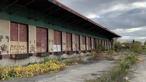 Squatters Haven - IMG_8263.JPG