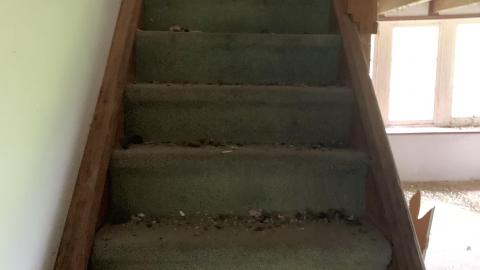 Abandoned Motel - IMG_4564.JPG