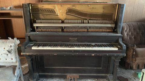 September 2020 - IMG_7066.JPG