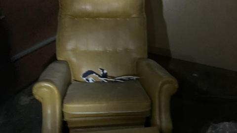 "Marquee" Advertisment... - IMG_9286.JPG