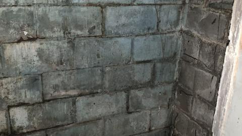 Nov 20 - IMG_9411.JPG