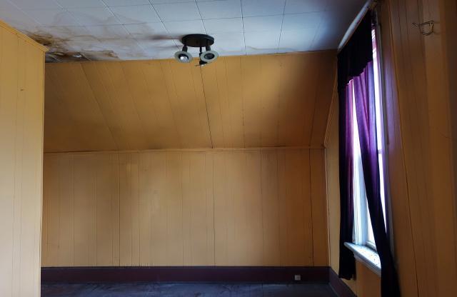 Horse With No Name - Vaughan, Ontario