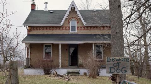 The Love of Horses April '20 - DSC07501.JPG