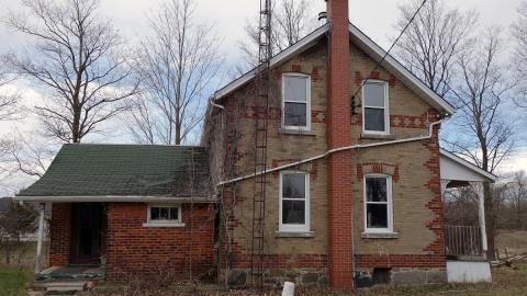 The Love of Horses April '20 - DSC07507.JPG