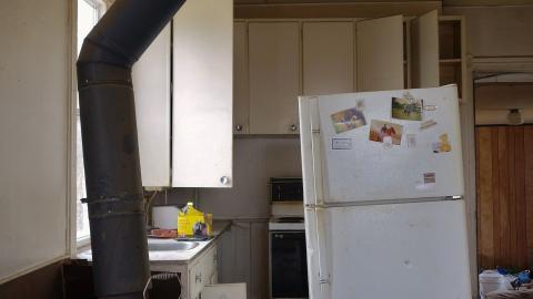 The Love of Horses April '20 - DSC07512.JPG