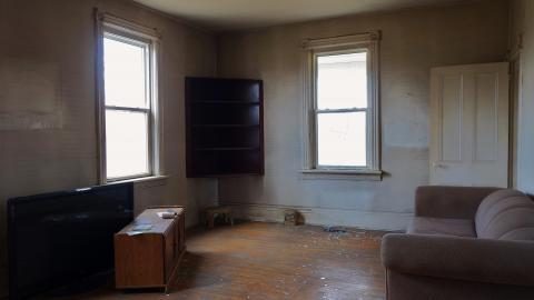 The Love of Horses April '20 - DSC07513.JPG