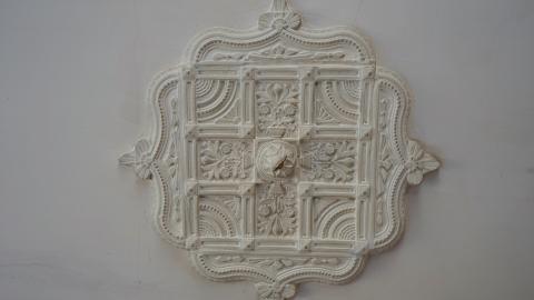 The Love of Horses April '20 - DSC07518.JPG