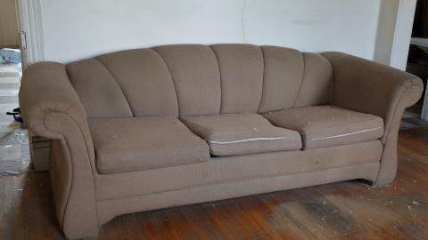 Horse With No Name photo 2