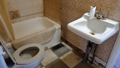 The Love of Horses April '20 - DSC07533.JPG