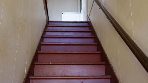 The Love of Horses April '20 - DSC07545.JPG