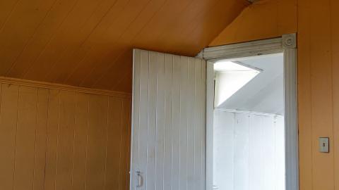 Horse With No Name photo 3