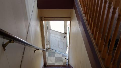 Horse With No Name photo 5