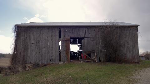 The Love of Horses April '20 - DSC07616.JPG