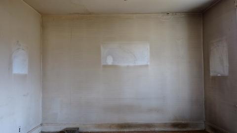 The Love of Horses April '20 - DSC07568.JPG