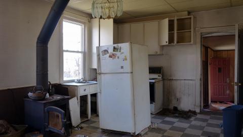 The Love of Horses April '20 - DSC07572.JPG